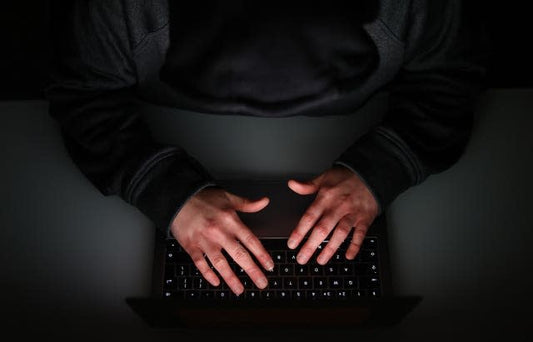 300 million children targeted by online sexual predators