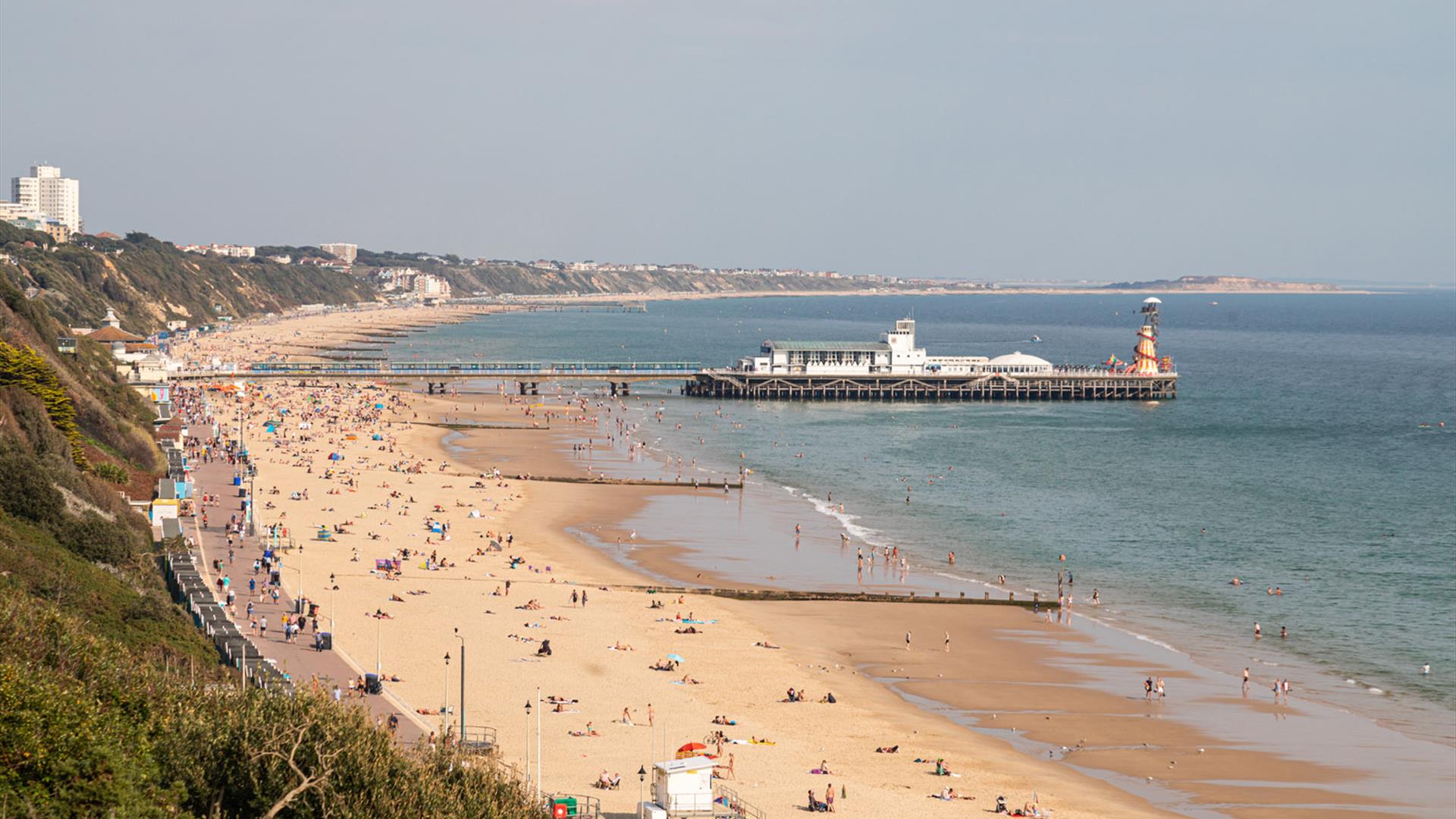 Criminology Student Accused Of "Savage" Murder On Bournemouth Beach Re ...